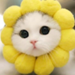 Meet your Posher, Micah